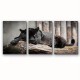 3Pc Wooden Inner Frame Canvas Painting Artwork Wall Art Hanging Animal Panther Panther Poster Canvas Printing Wall Art Painting Bedroom Home Office Decorations 3Pc Wooden Inner Frame Canvas Painting Artwork Wall Art Hanging Animal Panther Panther Poster Canvas Printing Wall Art Painting Bedroom Home Office Decorations
