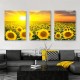 3Pcs Sunflower Wall Art Canvas Decor For Indoor Modern Home Decoration Prints Sunflower Painting Yellow Pictures Artwork Decor For Bathroom Living Room Bedroom Kitchen No Framed 3Pcs Sunflower Wall Art Canvas Decor For Indoor Modern Home Decoration Prints Sunflower Painting Yellow Pictures Artwork Decor For Bathroom Living Room Bedroom Kitchen No Framed